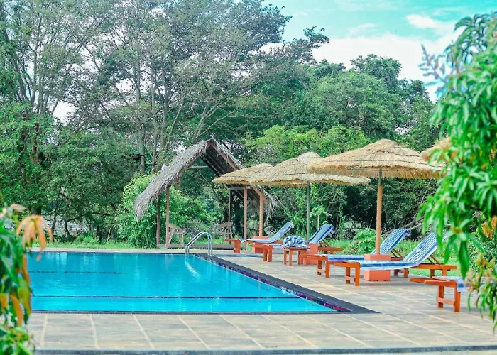 Sigiriya Peacock Homestay