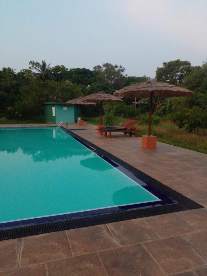 Peacock Homestay Séjour chez l'habitant Sigirîya